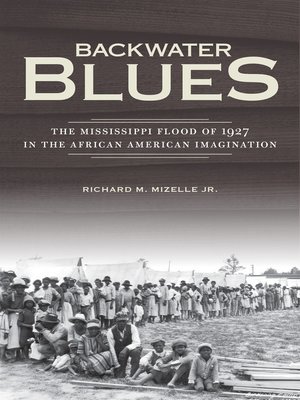 cover image of Backwater Blues